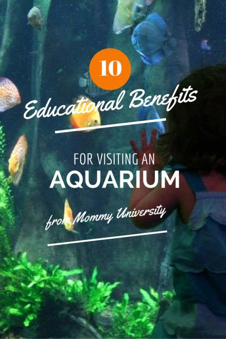 Austin Aquarium mommy university